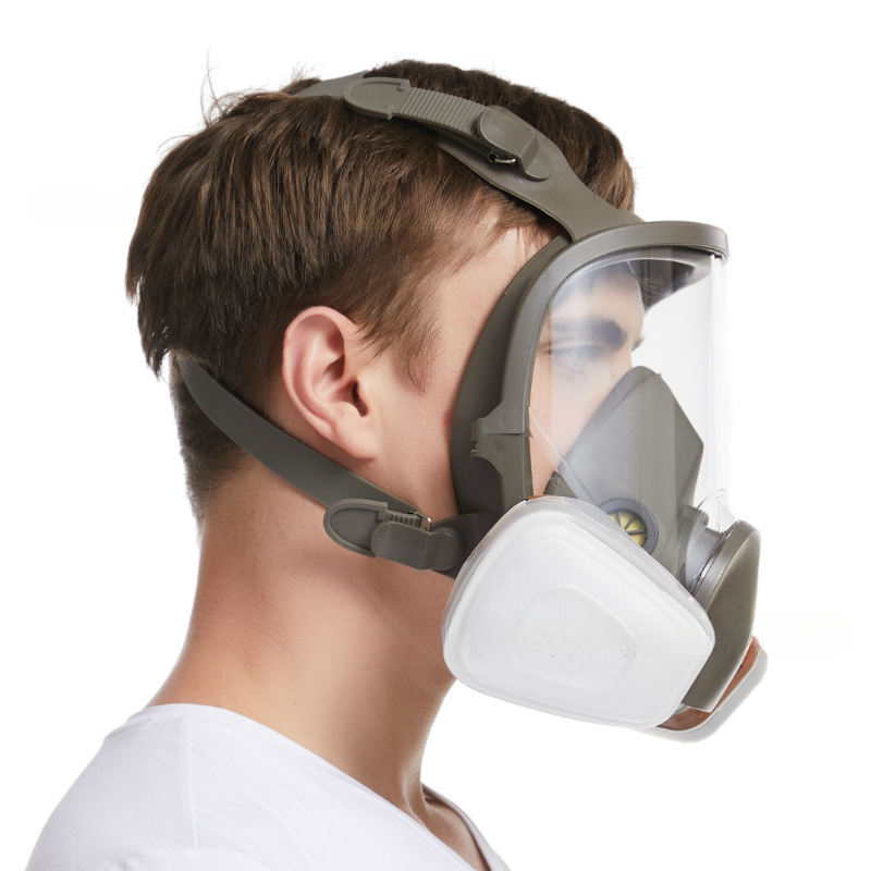 김서림 방지 6800 방독면, 산업용 도색 스프레이 호 - Dust Mask Construction 리뷰 및 가격